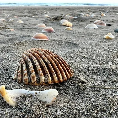 Village Naturiste R4n - Le Naia Jardin D'eden Couple Only *