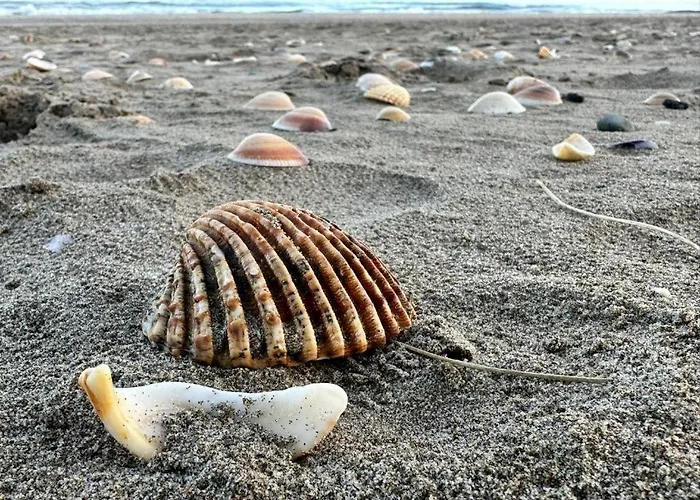 Village Naturiste R4n - Le Naia Jardin D'eden Couple Only *